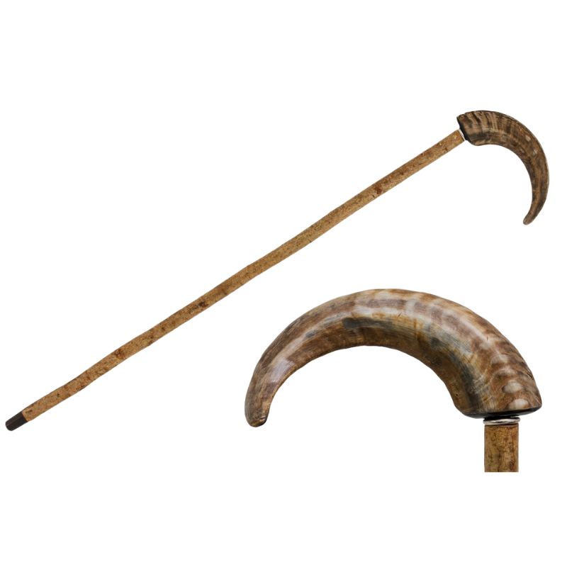 Mutton Horn Cane