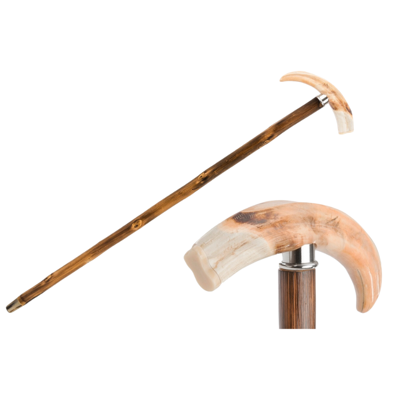 Warthog Tusk Cane