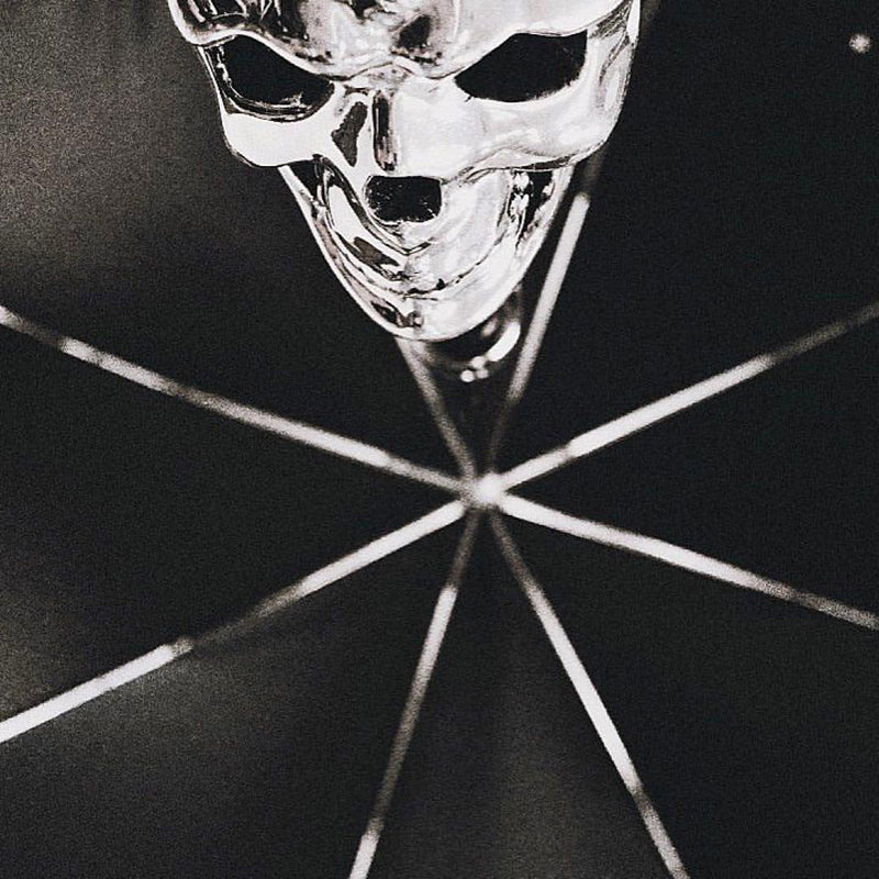 Silver Skull Umbrella