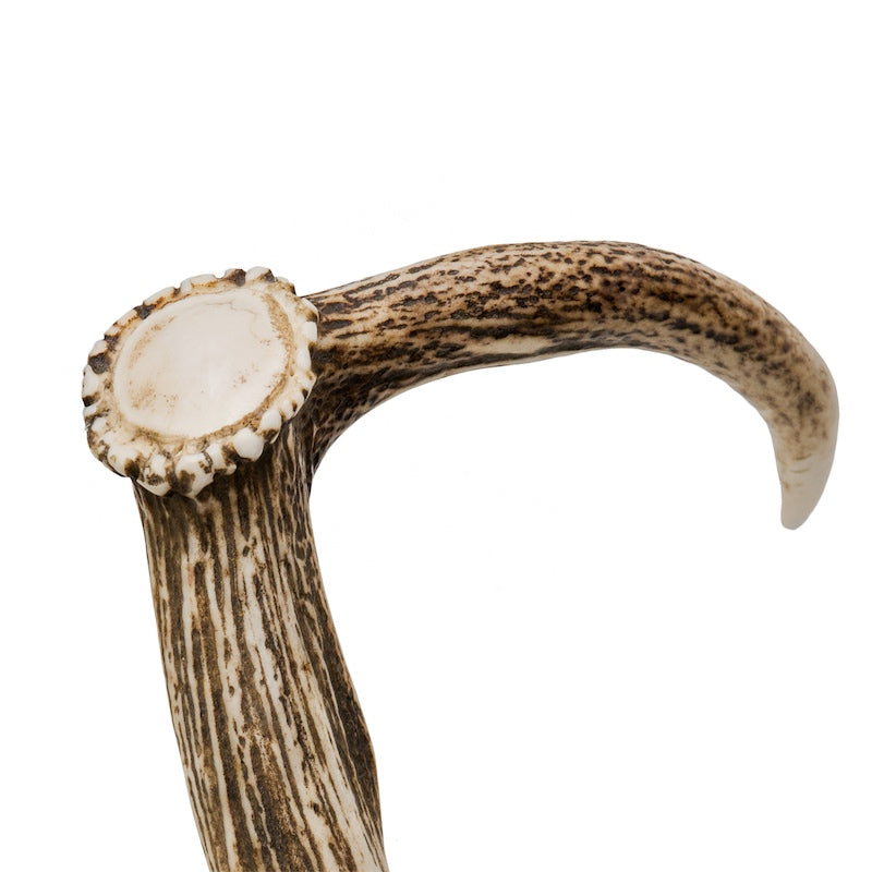 Deer Antler Cane