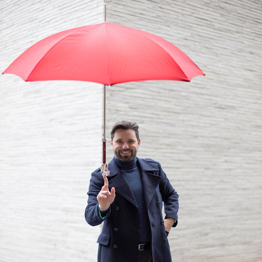 Red Umbrella with Silver Hound