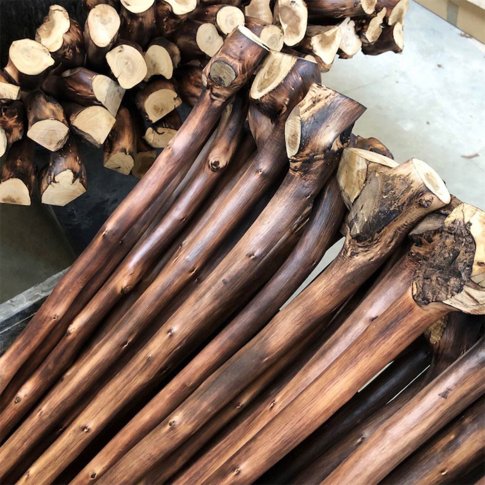 Chestnut Stick with Root Cane