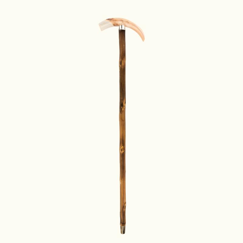 Warthog Tusk Cane