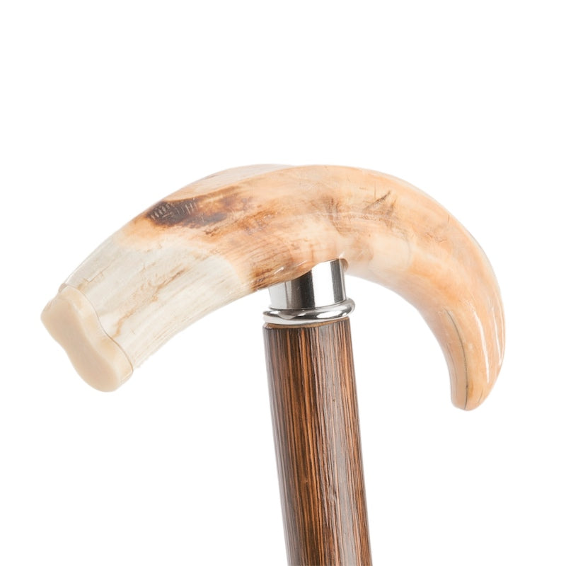 Warthog Tusk Cane