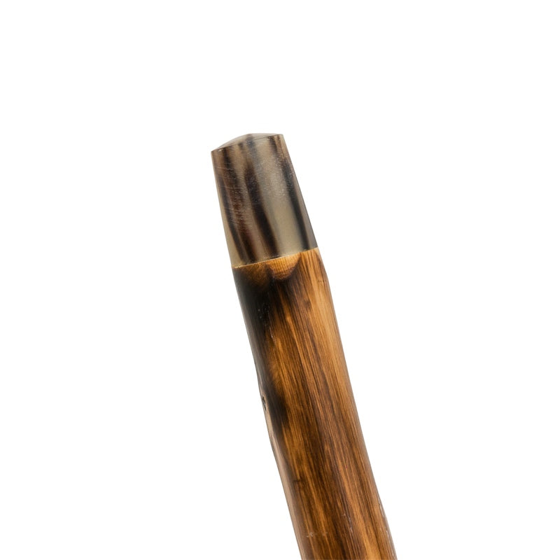 Warthog Tusk Cane