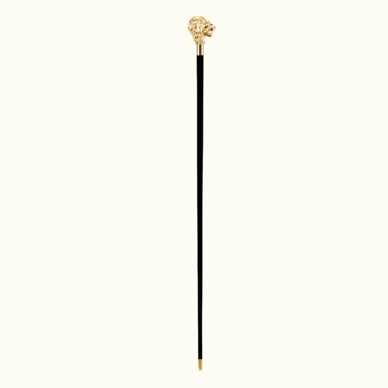 Golden Lion Cane