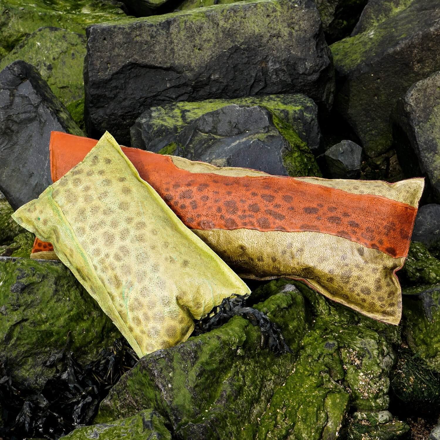 Fish Leather Pillow by Sierkussen Visleer