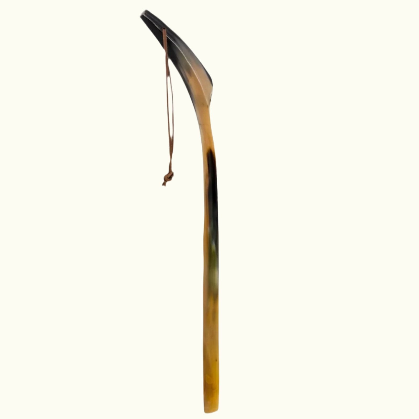 Water Buffalo Horn Shoehorn