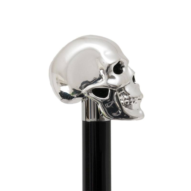 Silver Skull Shoehorn