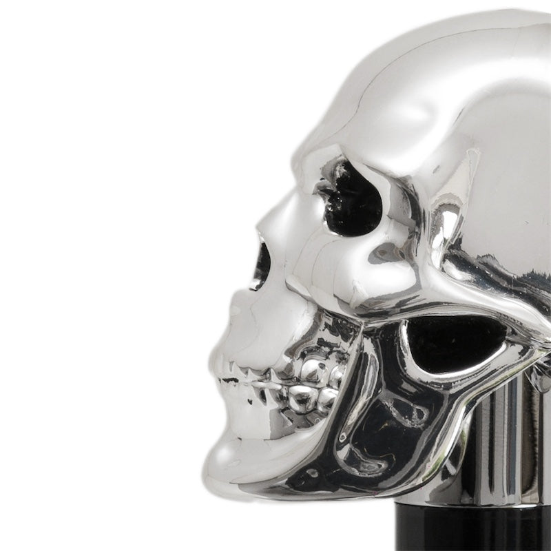 Silver Skull Shoehorn