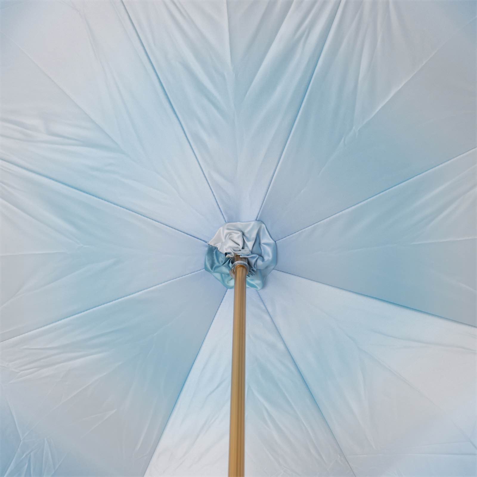 Dolphin Umbrella - Umbrella