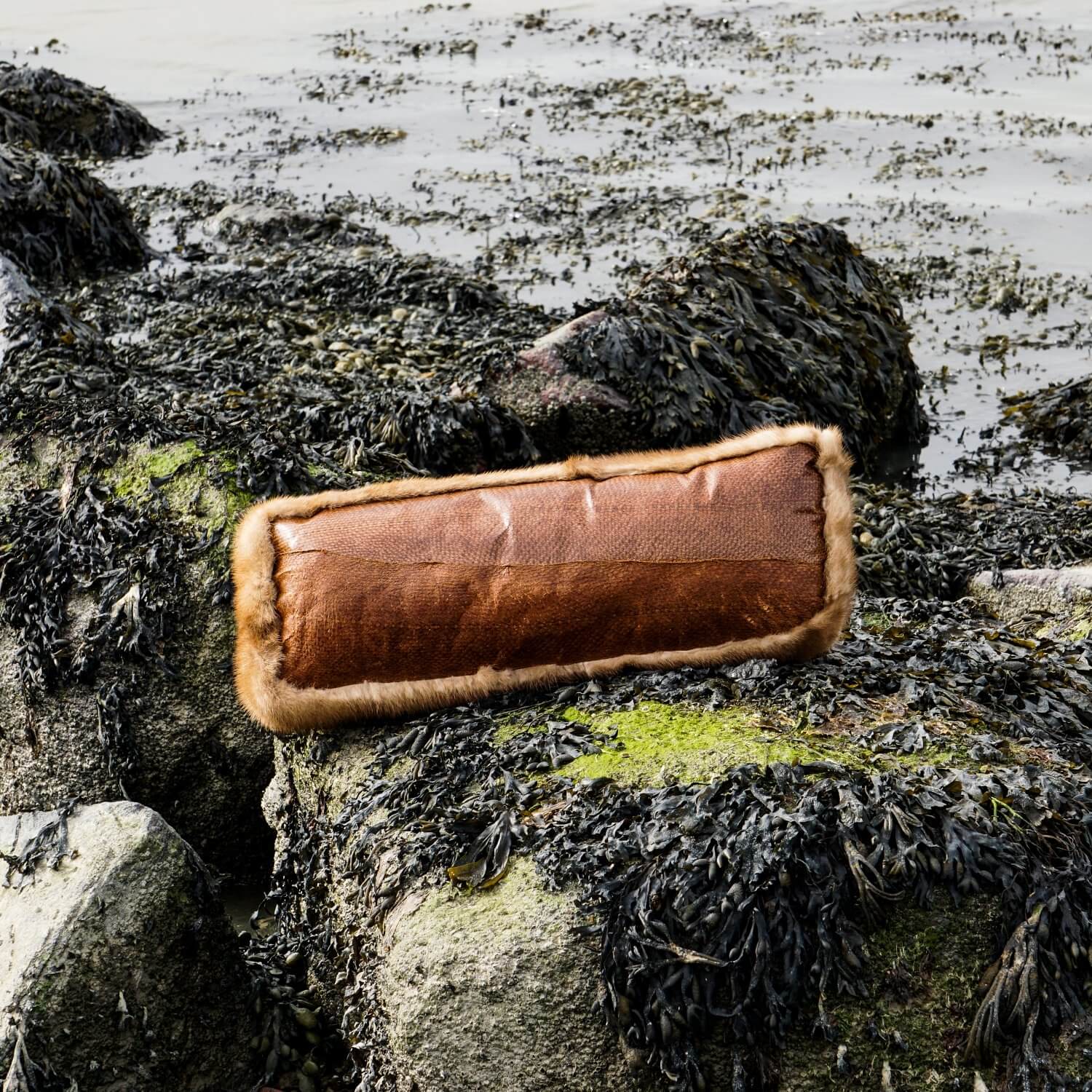 Golden Chocolate & Nature Hazelnut fish leather pillow