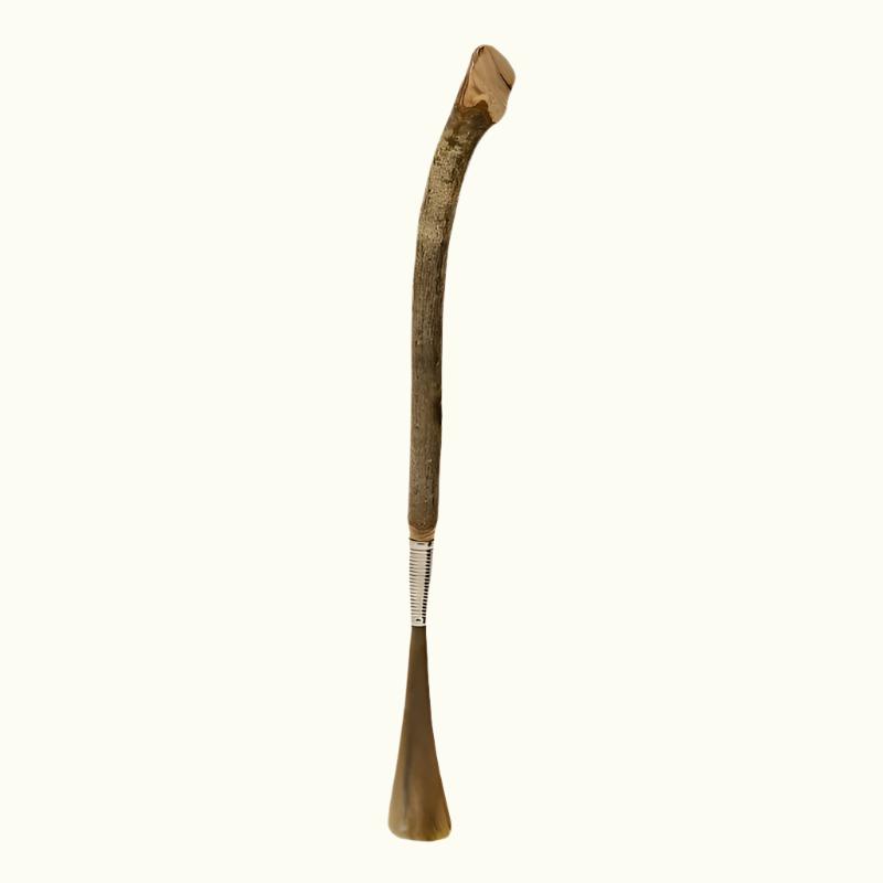 Rare Shoehorn in Elm Wood