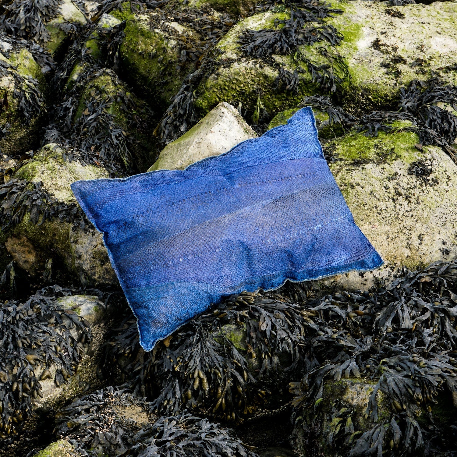 Summernight Blue & Sealights | DeLeO - One | Fish Leather Throw Pillow | Sierkussen Visleer DeLeO - One | Fish Leather