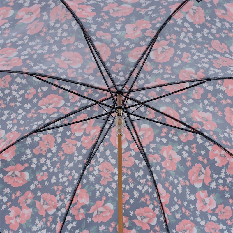 Umbrella Anemones - Umbrella