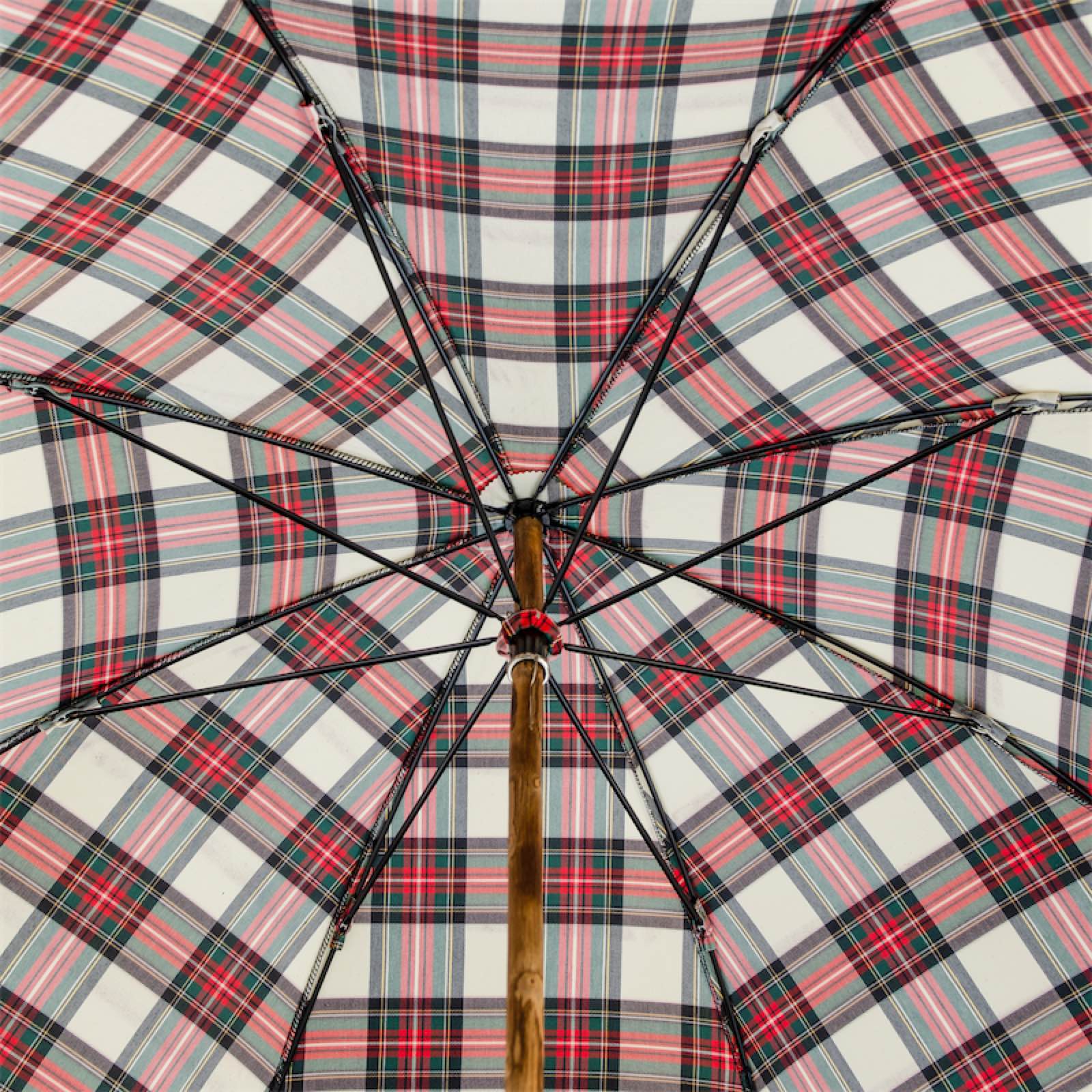 Umbrella Tartan Classico - Umbrella