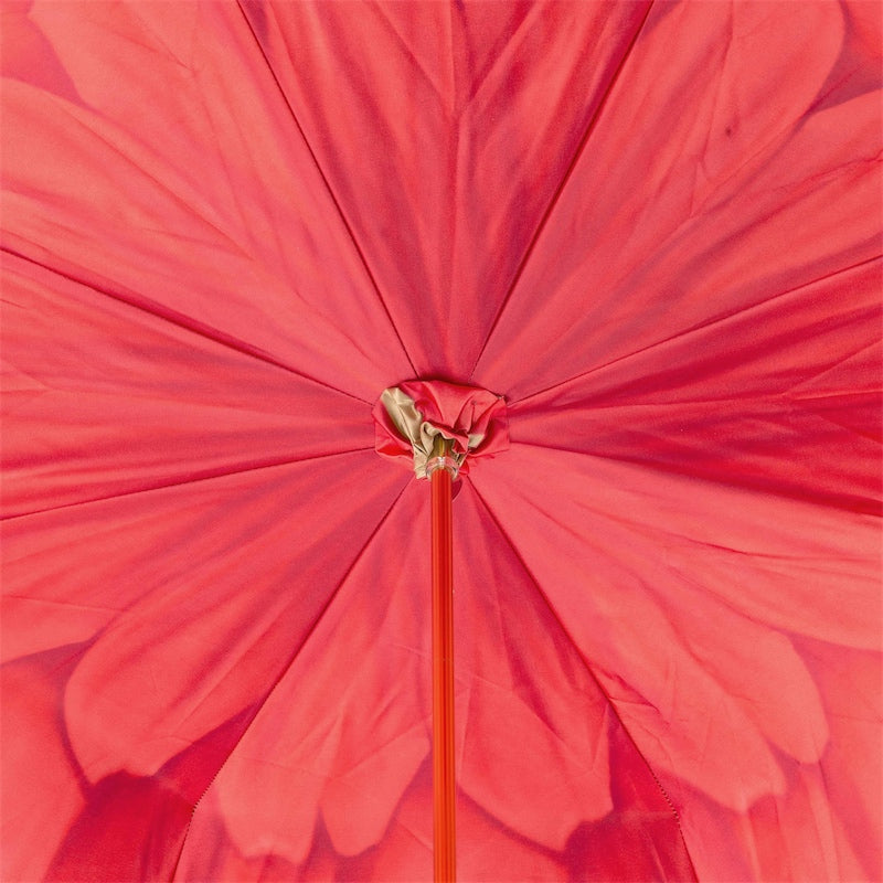 Umbrella with Flower inside - Umbrella