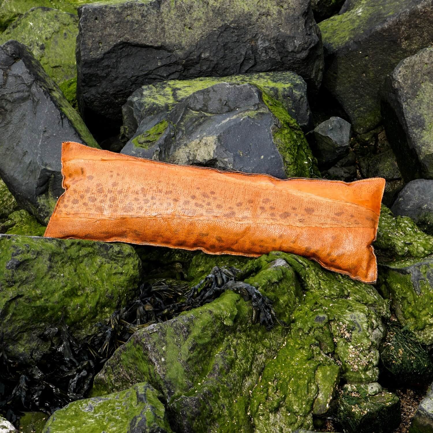 Golden Copper Fish Leather Pillow 