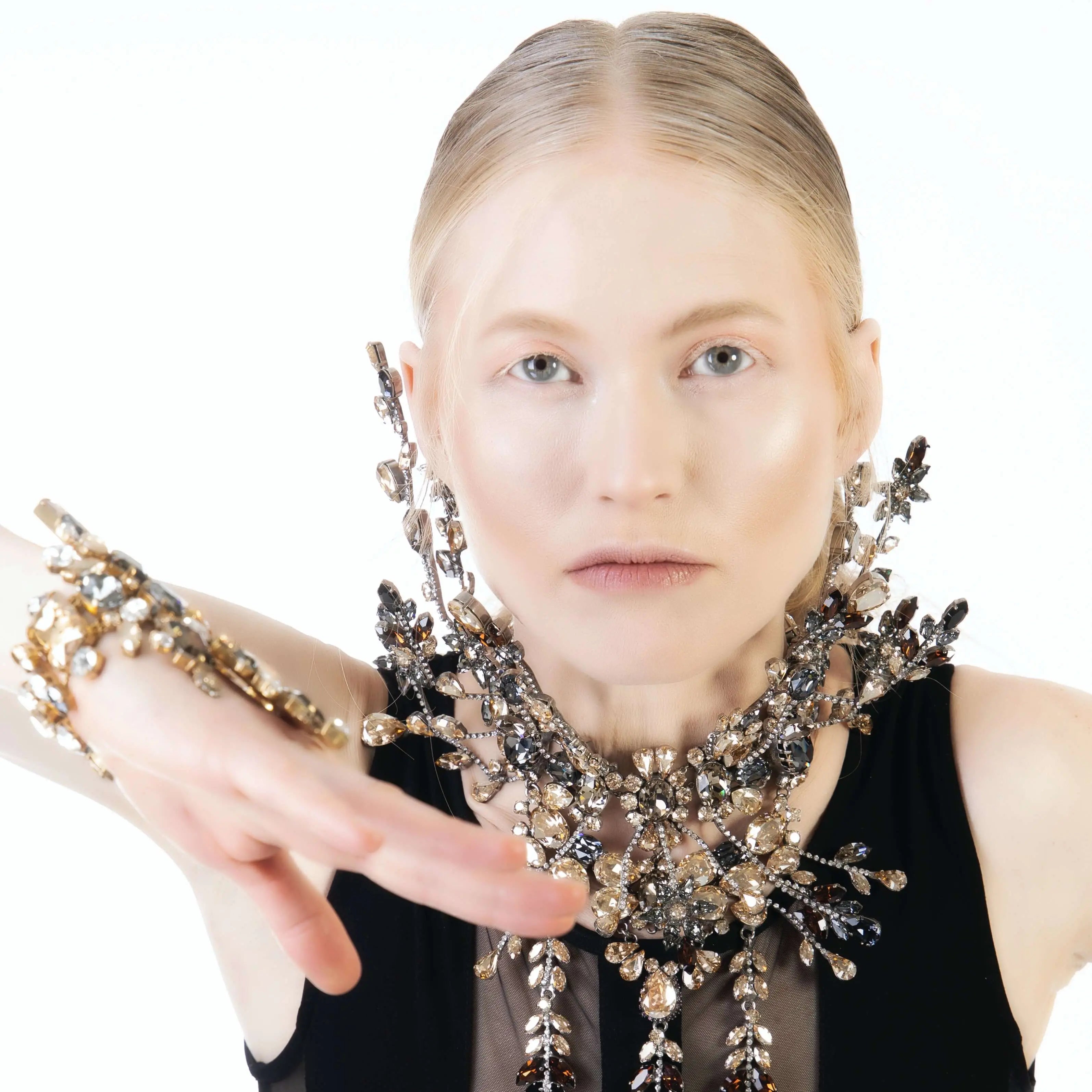 Masterpiece choker Necklace with metal ornaments and Swarovski Crystals by the model Joan Kuhlman 