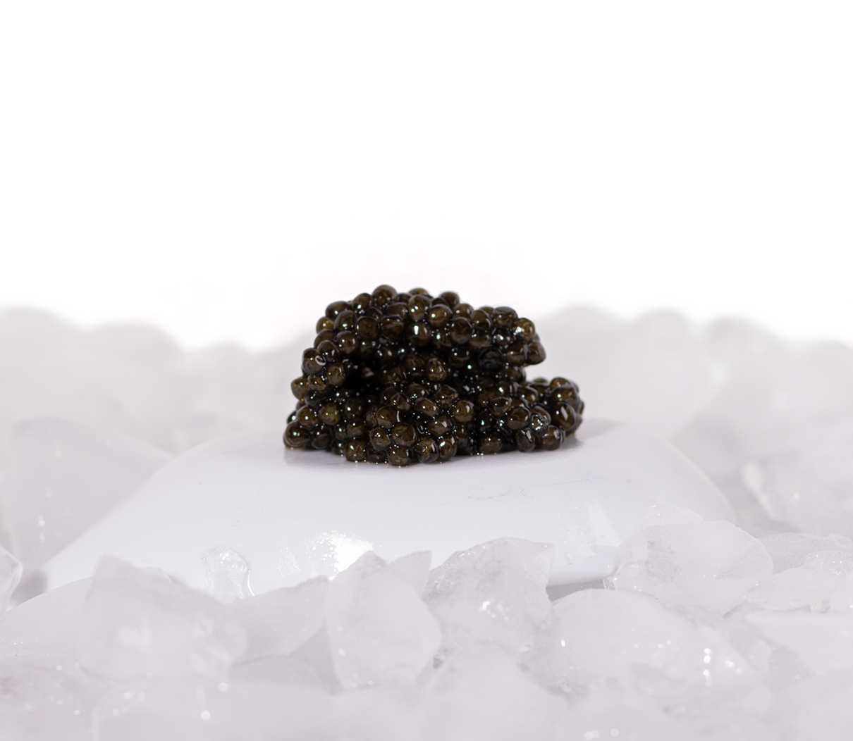 Osciëtra Exclusive Caviar Wonders of Luxury